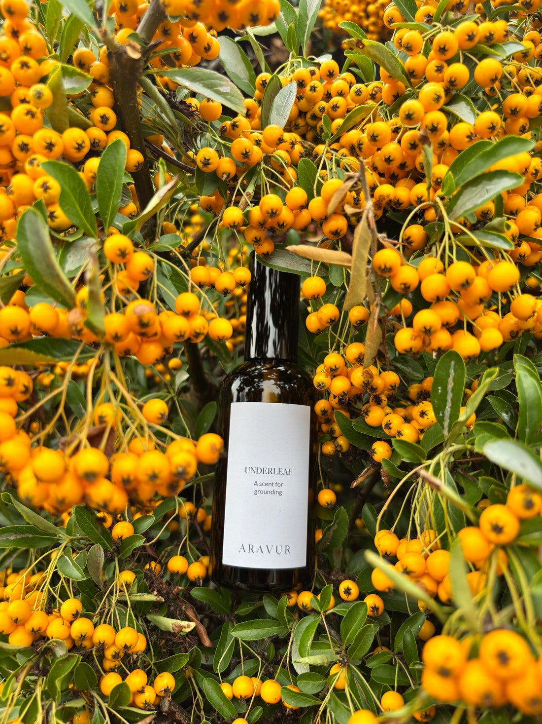 Underleaf: The Scent That Grounds