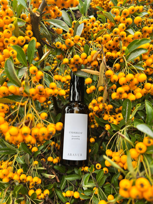 Underleaf: The Scent That Grounds